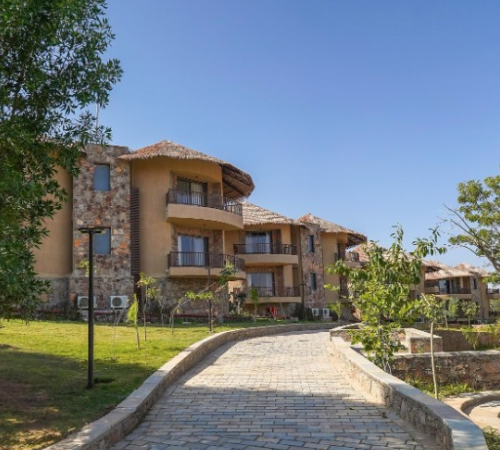 1. Amaara Tree of Life, udaipur