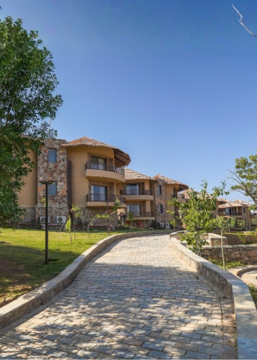 1. Amaara Tree of Life, udaipur