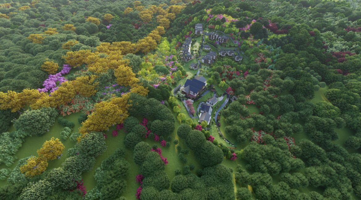 Views Set5 Views Set5