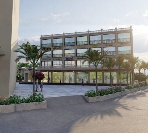 BAHADURGARH TOWNSHIP-1